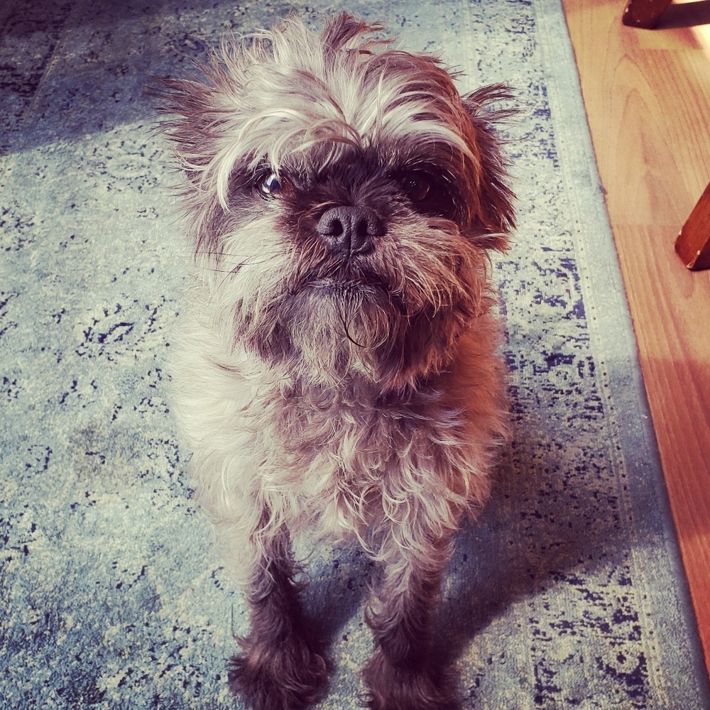 Meet your Posher, Nicole